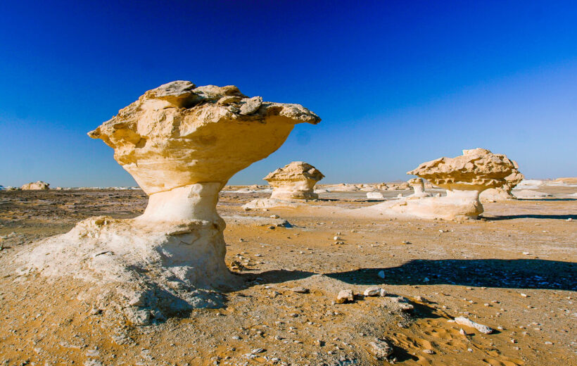 Overnight Tour To White Desert And Bahariya Oasis